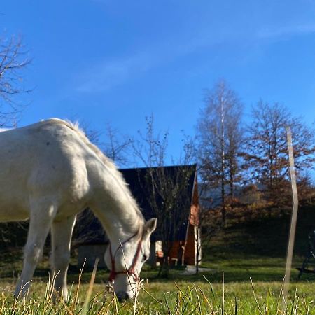 Willa Eco Kutak Mojkovac Zewnętrze zdjęcie