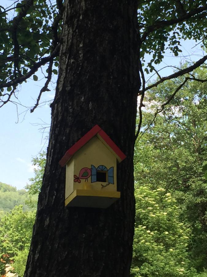 Willa Eco Kutak Mojkovac Zewnętrze zdjęcie