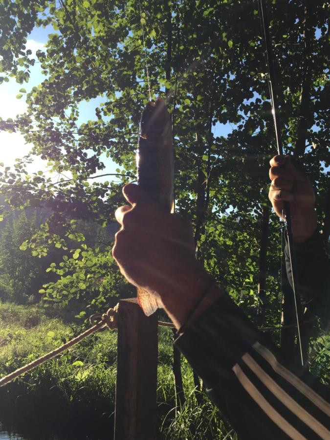 Willa Eco Kutak Mojkovac Zewnętrze zdjęcie
