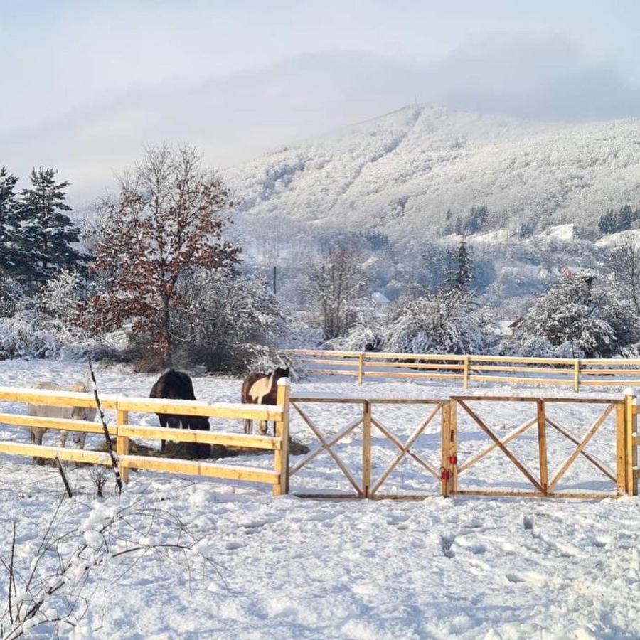Willa Eco Kutak Mojkovac Zewnętrze zdjęcie